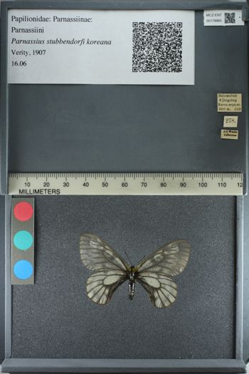 Media type: image;   Entomology 179965